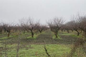 Готовый бизнес, 200 м², 1/1 эт.